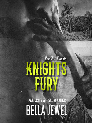 cover image of Knights Fury